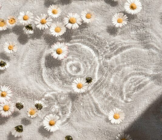 일상에서 실천하는 현대 웰니스, 건강한 삶을 위한 새로운 출발점 white and blue floral textile